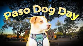 Dog Friendly Day in Paso Robles 2026 &bull; Coffee, Sliders & Wine with Maya #DogFriendly #pasorobles