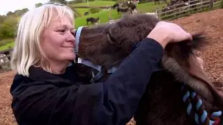 Timmy and Tommy find a new home at The Donkey Sanctuary | Help The Animals at Christmas | Channel 5