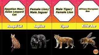 16 Hybrid Animals That Are Hard To Believe Actually Exist