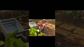 A cute Monkey Making  Juice #amazinggrace #funnyanimals #cutemonkey #shortvideo #viral #funny