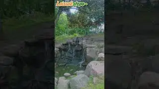 🌊 Tranquil Waterfall in Krasiński Garden | Warsaw Escape #nature #walkorama #europeancapital