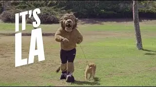 It's LA, It's the Kings: Bailey