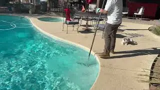 How to brush a pool