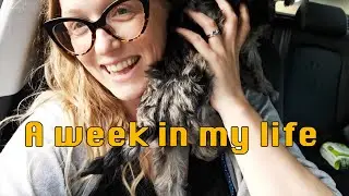 A week in my life as an independent artist / creator / record label owner VLOG