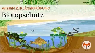 🏞️ Nature conservation &ndash; Habitat protection & protection categories simply explained