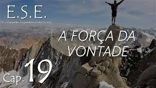 A FORÇA DA VONTADE  |  ROGÉRIO ALVES |