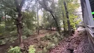 Stone Mountain Park train ride ￼