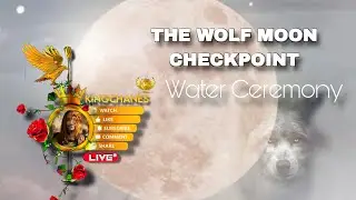 FULL MOON IN CANCER The Wolf  &middot; WATER CEREMONYInstinct stabilized &middot; Authority embodied