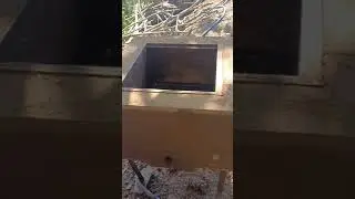 Scientific single mud hive