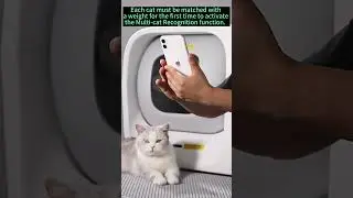 How to use the Multi Cat Recognition function？