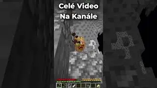Lekce &Scaron;PANĚL&Scaron;TINY s Derpym! #shorts  #minecraft #minecraftfriends #minecrafthumor #minecraftcz