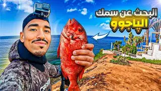تحدّي صيد الپاجو فـ17م‼️ومواجهة الشباك القاتلة! ⚠️🕸️