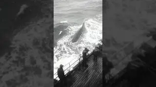 Fishermen Record Something SLAMMING Into Their Boat at Sea