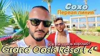 Египет перед Новым Годом Grand Oasis Resort  4* Подводный мир пляж и питание Шарм Эль Шейх Сохо