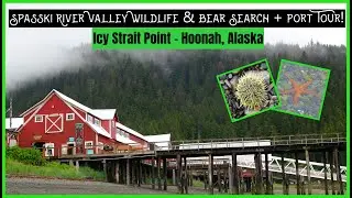 Spasski River Valley Wildlife & Bear Tour & Port Tour | Icy Strait Point, Hoonah, Alaska | Celebrity