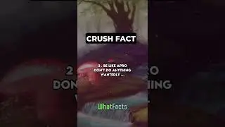 How To Attract Your Crush... #love #dating #girl #girlfacts #crush