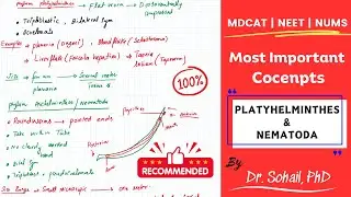 Kingdom Animalia (Platyhelminthes & Aschelminthes) | Lecture-03 | MDCAT | NUMS | NEET