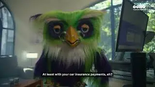 OCHO Car Insurance - Ocho the Owl - The Wrong Text - 31