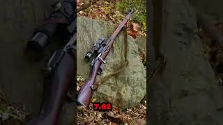 Mosin-Nagant &ndash; The 100-Year Sniper That Won&rsquo;t Die!