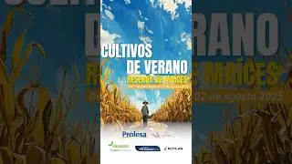 Informaci&oacute;n ma&iacute;ces&nbsp;PGW 2025 - Parte I