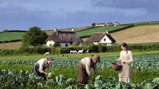 Peaceful Country Life in England &ndash; Harvesting Cabbage, Raising Poultry, Rural Life.