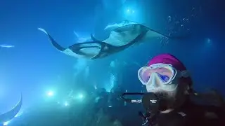 Manta Ray Magic!  🤯  Amazing Manta Ray night dive on the big island of Hawaii. ￼