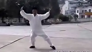 Wudang Taiji Zhang San Feng 13 by Grandmaster Zhong Yun Long of Zhang San Feng Academy