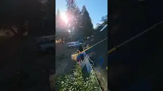 Satisfying Roof Cleaning Video Pacific Northwest