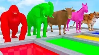 Cows colours learning videos|kid's corner farm animals colour learning preschool activities