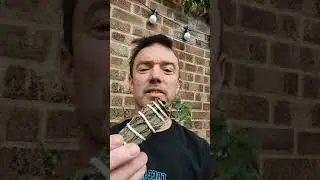'Seed to Smoke - A Journey in Sage' Trailer