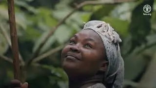 The Chocolate Island: Growing sustainable cocoa in Sao Tome