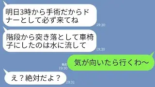 中学の頃に私を階段から突き落として車椅子の生活にさせた妹から、ドナーを求められた。妹は「明日手術だから絶対に来てねw」と言った。彼女の自己中心的な態度に対して、素晴らしい仕返しをした結果www