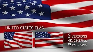 United States Patriotic Flag Pack Stock Motion Graphics