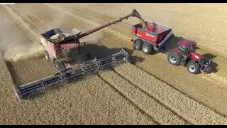 PERARD X-FLOW 34 AF 10 CASE IH + FD 245 MacDon 13,7 m