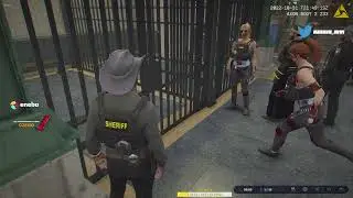 Krowa 200iq 5city