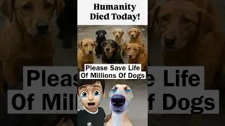 Save Life Of Millions Of Dogs In Delhi 🙏🏻