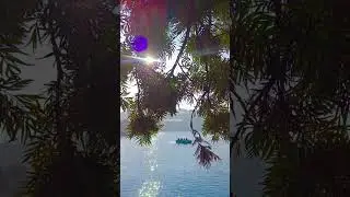 Mansar lake jammu and kashmir #lake #samba #jammu