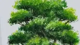 How to draw tree in easy way step by step, acrylic paints