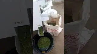 #grading #cardamom #indian #exportimport +917025292521
