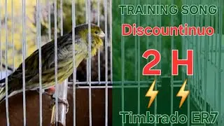 Floreado Discountinuo 2⚡️ - Training Song - 2 h - Timbrado Espa&ntilde;ol 46 / 2025