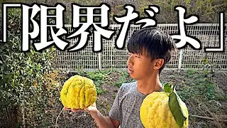【ご近所トラブル】やられてばかりなので、仕返しします。