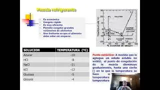 CONGELACION DE ALIMENTOS