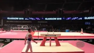 PETROUNIAS Eleftherios (GRE) - 2015 Artistic Worlds - Qualifications Pommel Horse