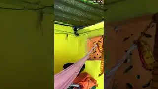 मौत सिर के ऊपर! बिस्तर के ऊपर लटकता Russell Viper कैमरे में कैद! रोंगटे खड़े कर देने वाला वीडियो |