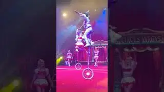 Suspended in Air! Amazing Circus Performance! ##circusvargas #circus #circuslife