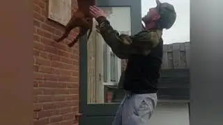 Gypsy James stafford powerbreed