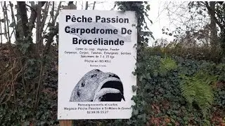 P&ecirc;che &agrave; la carpe en carpodrome en hiver ❄️ Elles mordent encore !