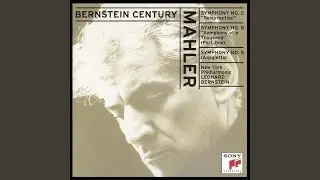 Symphony No. 2 in C Minor 