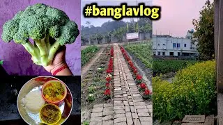 সবকিছু মানিয়ে নিতে পারলে জীবন সুন্দর 🧿 #banglavlog