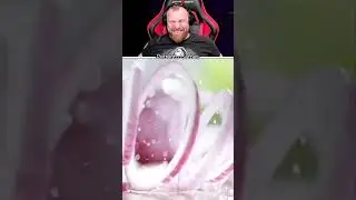 Петренто луковый сок #петренто #приколы #прикол #petrento #мем #мемы #юмор #memes #funny